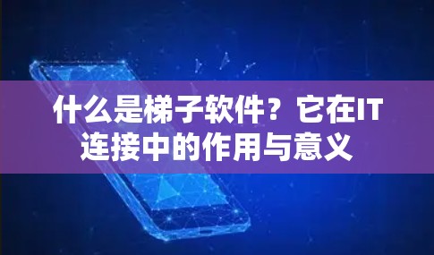 什么是梯子软件？它在IT连接中的作用与意义