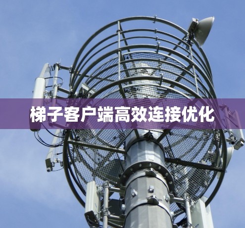 梯子客户端高效连接优化