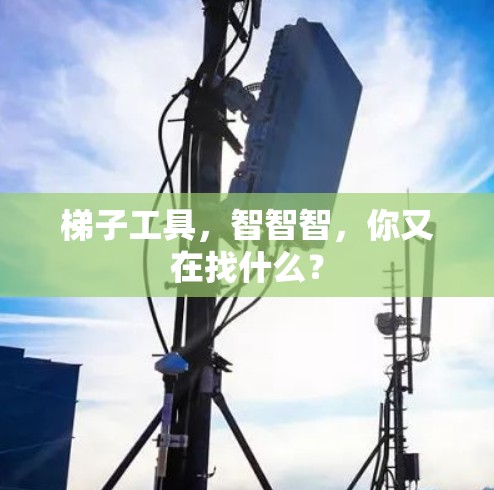 梯子工具,智智智,你又在找什么? 梯子工具,智智智,你又在找什么?