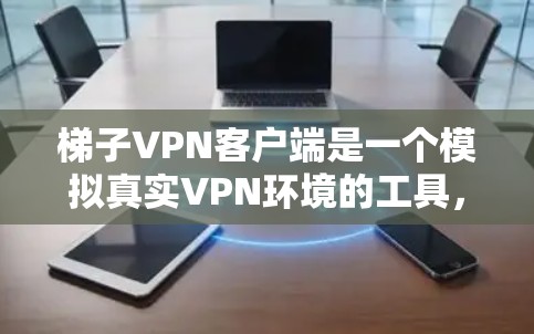 梯子VPN客户端是一个模拟真实VPN环境的工具，主要用于学习和测试VPN协议。以下是对梯子VPN客户端的详细分析