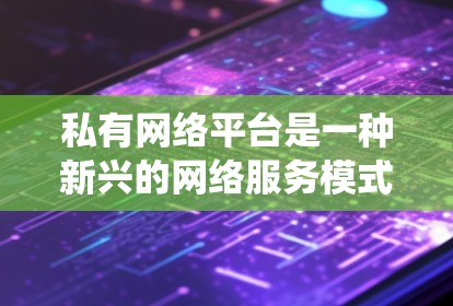 私有网络平台是一种新兴的网络服务模式，不同于传统网站，它通过独立的运营机制和自主管理来提供丰富的功能和服务。以下是对该概念的详细分析