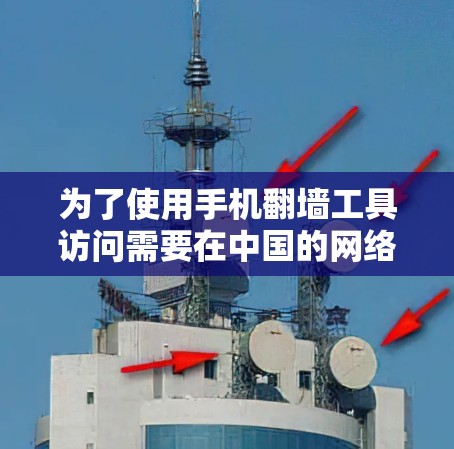 为了使用手机翻墙工具访问需要在中国的网络资源，您可以按照以下步骤操作