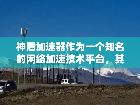 神盾加速器作为一个知名的网络加速技术平台，其国际版和国际网络加速服务主要集中在以下几个方面