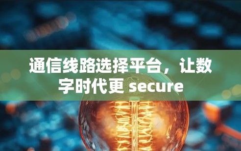 通信线路选择平台，让数字时代更 secure
