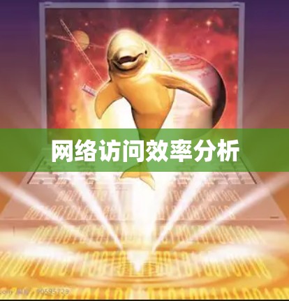 网络访问效率分析