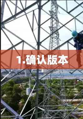 1.确认版本 1.确认版本