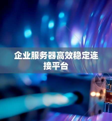 企业服务器高效稳定连接平台 企业服务器高效稳定连接平台