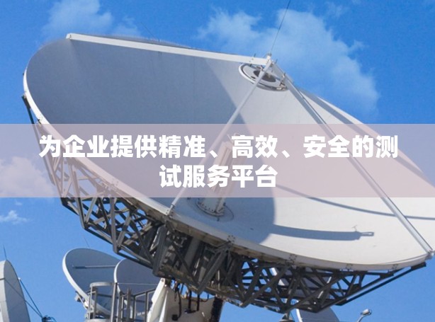 为企业提供精准、高效、安全的测试服务平台 为企业提供精准、高效、安全的测试服务平台