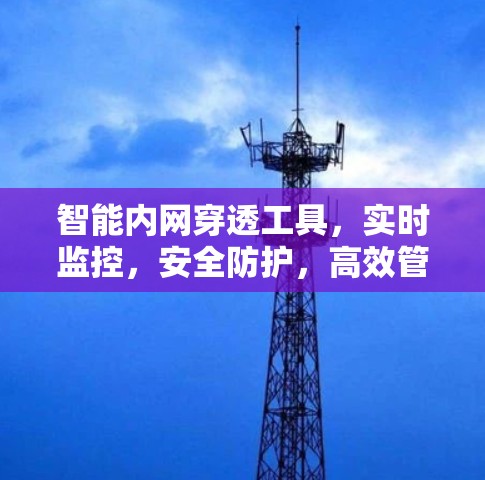 智能内网穿透工具,实时监控,安全防护,高效管理 智能内网穿透工具,实时监控,安全防护,高效管理