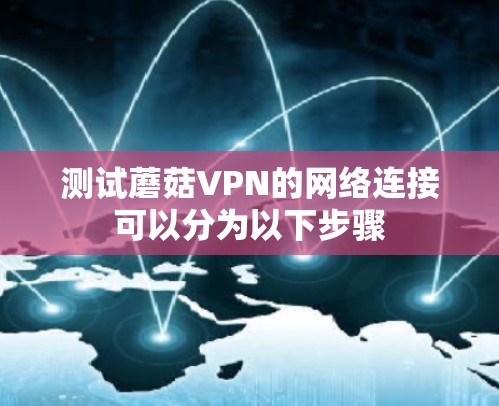 测试蘑菇VPN的网络连接可以分为以下步骤