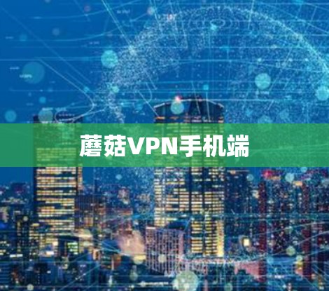 蘑菇VPN手机端 蘑菇VPN手机端