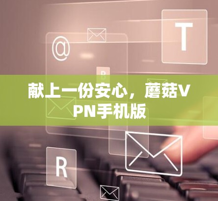 献上一份安心,蘑菇VPN手机版 献上一份安心,蘑菇VPN手机版