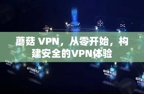 蘑菇 VPN，从零开始，构建安全的VPN体验