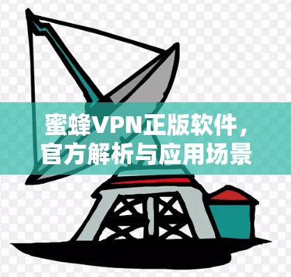 蜜蜂VPN正版软件，官方解析与应用场景分析