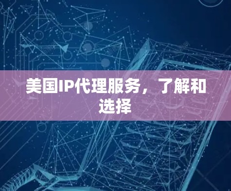美国IP代理服务,了解和选择 美国IP代理服务,了解和选择