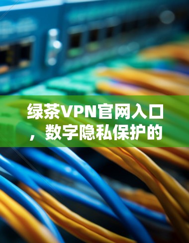 绿茶VPN官网入口,数字隐私保护的关键点 绿茶VPN官网入口,数字隐私保护的关键点