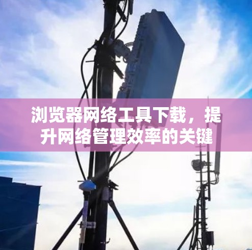 浏览器网络工具下载,提升网络管理效率的关键 浏览器网络工具下载,提升网络管理效率的关键