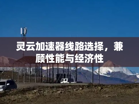 灵云加速器线路选择，兼顾性能与经济性