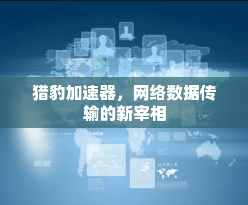 猎豹加速器,网络数据传输的新宰相 猎豹加速器,网络数据传输的新宰相