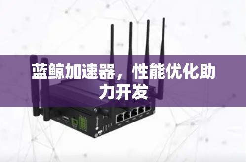 蓝鲸加速器,性能优化助力开发 蓝鲸加速器,性能优化助力开发