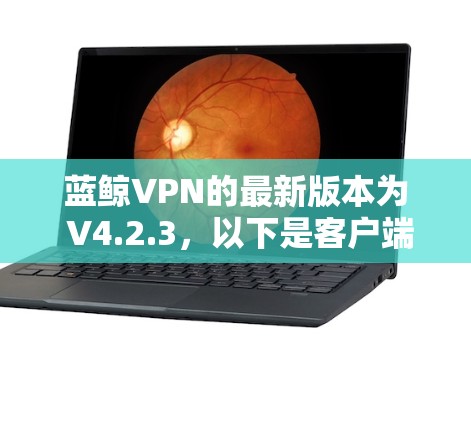 蓝鲸VPN的最新版本为 V4.2.3，以下是客户端下载指南