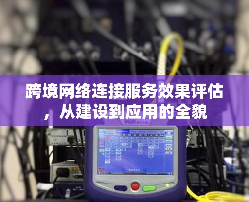 跨境网络连接服务效果评估，从建设到应用的全貌