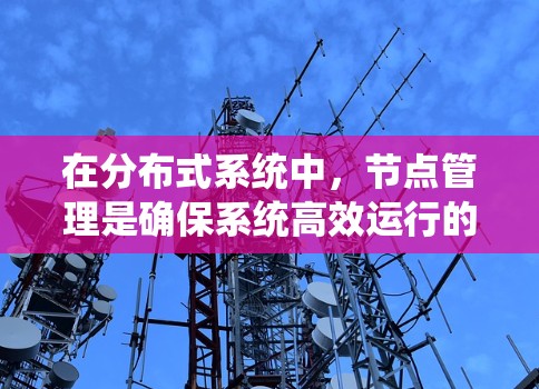 在分布式系统中,节点管理是确保系统高效运行的重要环节,而速度检测则是优化这一管理的关键。以下是针对节点管理速度检测问题的分步解决方案 在分布式系统中,节点管理是确保系统高效运行的重要环节,而速度检测则是优化这一管理的关键。以下是针对节点管理速度检测问题的分步解决方案