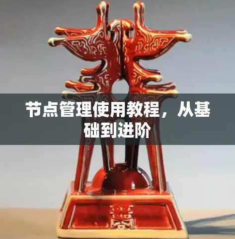 节点管理使用教程，从基础到进阶