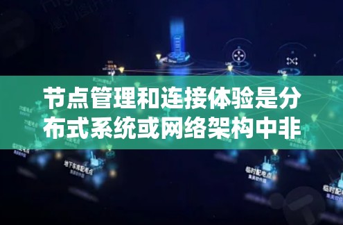 节点管理和连接体验是分布式系统或网络架构中非常重要的概念，尤其是在处理大规模的节点和高性能需求的环境中。以下是一些关键点和建议，帮助您优化节点管理和提升连接体验