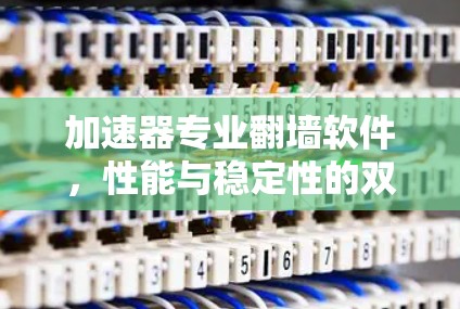加速器专业翻墙软件，性能与稳定性的双重保障