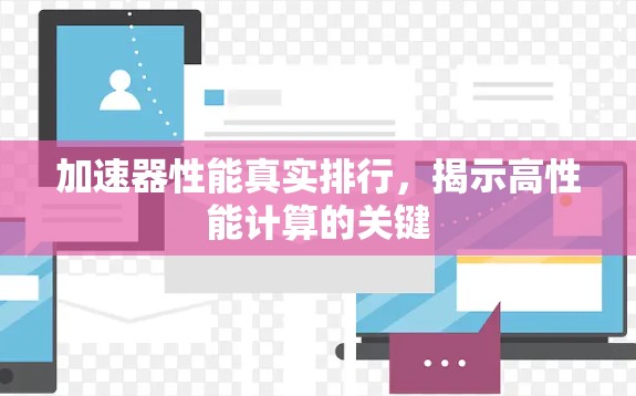 加速器性能真实排行，揭示高性能计算的关键
