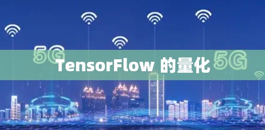 TensorFlow 的量化 TensorFlow 的量化