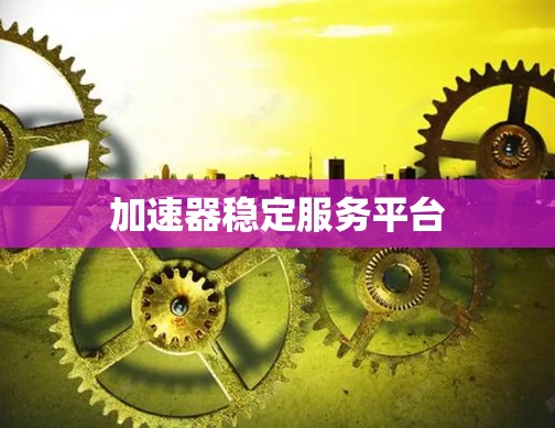 加速器稳定服务平台 加速器稳定服务平台