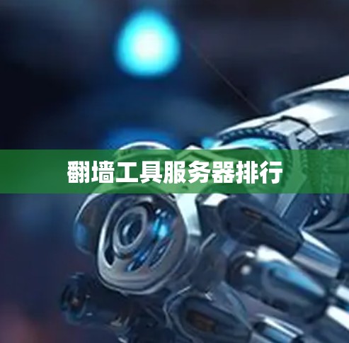 翻墙工具服务器排行