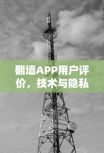 翻墙APP用户评价,技术与隐私的双刃剑 翻墙APP用户评价,技术与隐私的双刃剑