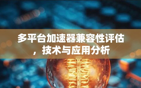 多平台加速器兼容性评估，技术与应用分析