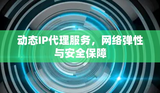 动态IP代理服务，网络弹性与安全保障