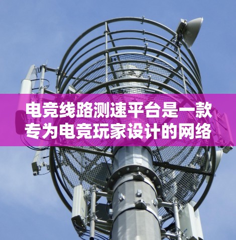 电竞线路测速平台是一款专为电竞玩家设计的网络测试工具，旨在评估和优化游戏网络连接的质量。以下是对该平台的详细分析和总结