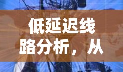低延迟线路分析,从架构到实现的全方位探讨 低延迟线路分析,从架构到实现的全方位探讨