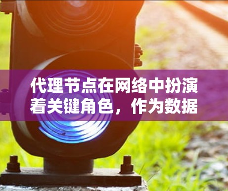 代理节点在网络中扮演着关键角色，作为数据转发和负载均衡的中枢，有效支持多种应用场景。以下是对代理节点的全面总结