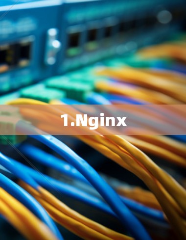 1.Nginx 1.Nginx