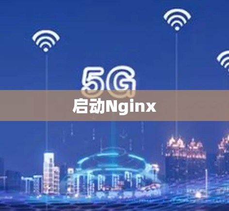 启动Nginx 启动Nginx