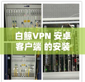 白鲸VPN 安卓客户端 的安装和使用步骤如下