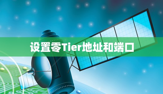 设置零Tier地址和端口 设置零Tier地址和端口