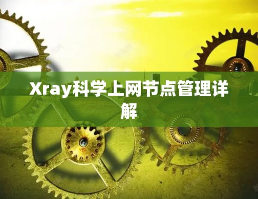 Xray科学上网节点管理详解