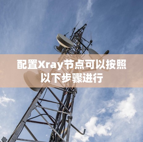 配置Xray节点可以按照以下步骤进行
