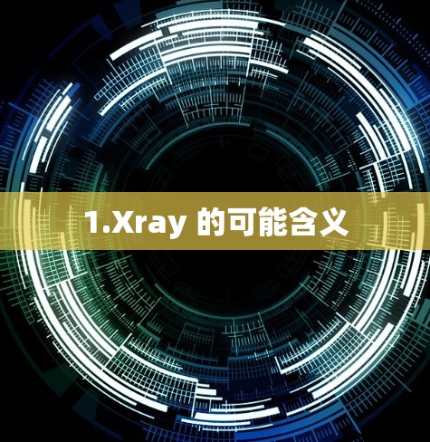 1.Xray 的可能含义