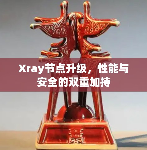 Xray节点升级，性能与安全的双重加持