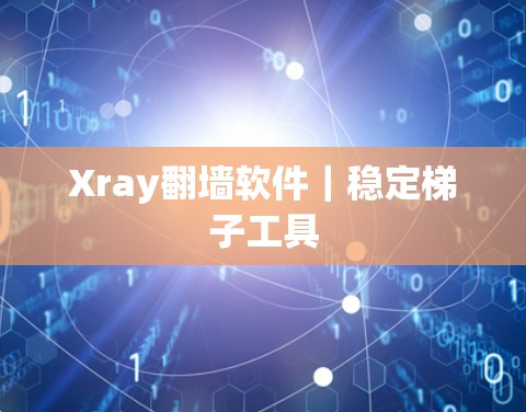 Xray翻墙软件|稳定梯子工具 Xray翻墙软件|稳定梯子工具