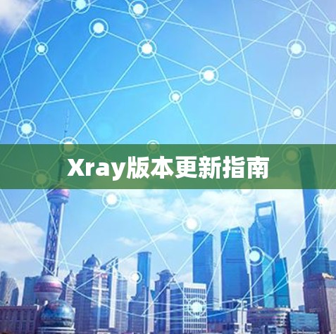 Xray版本更新指南 Xray版本更新指南